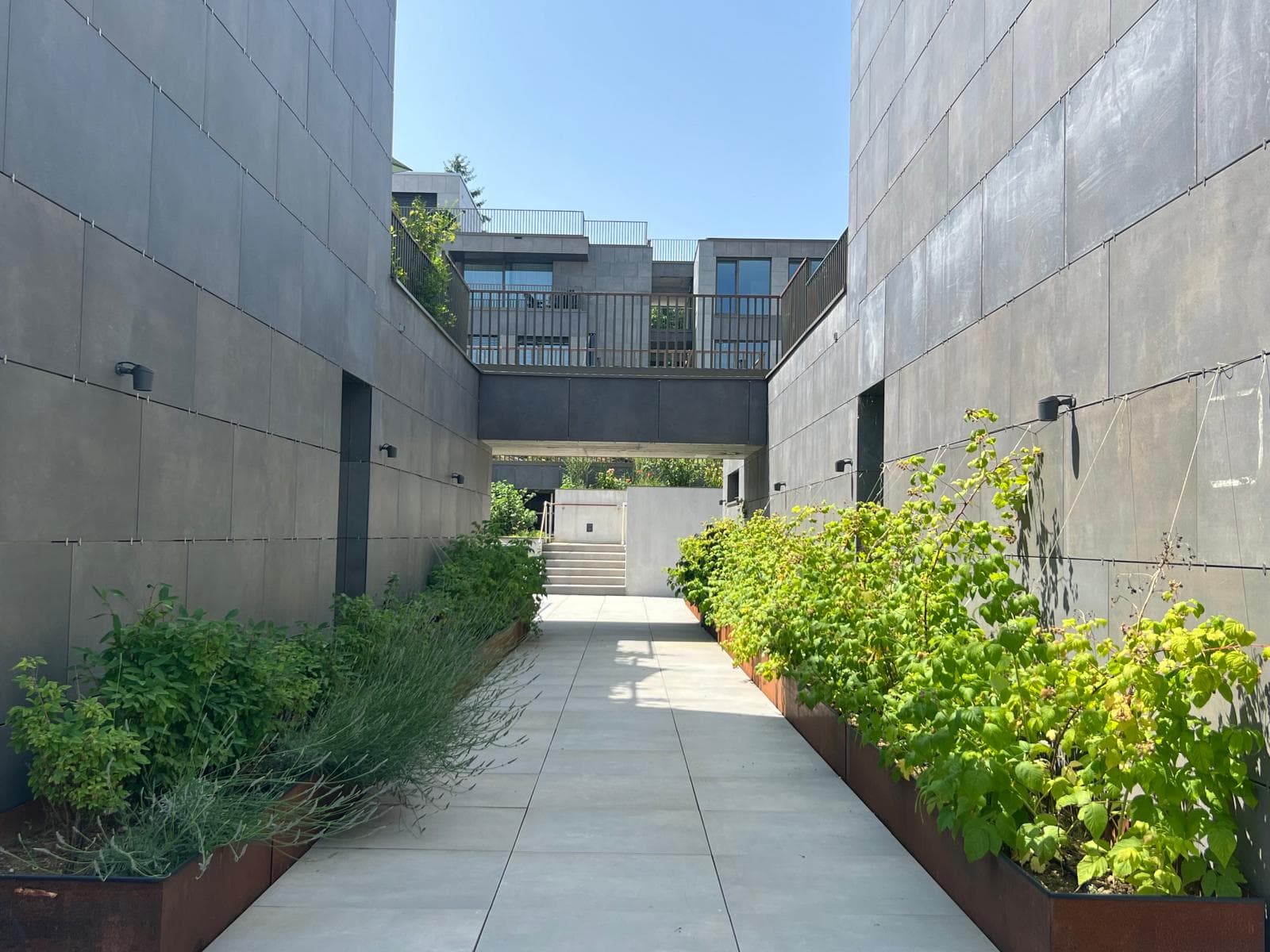 Gallery image 5